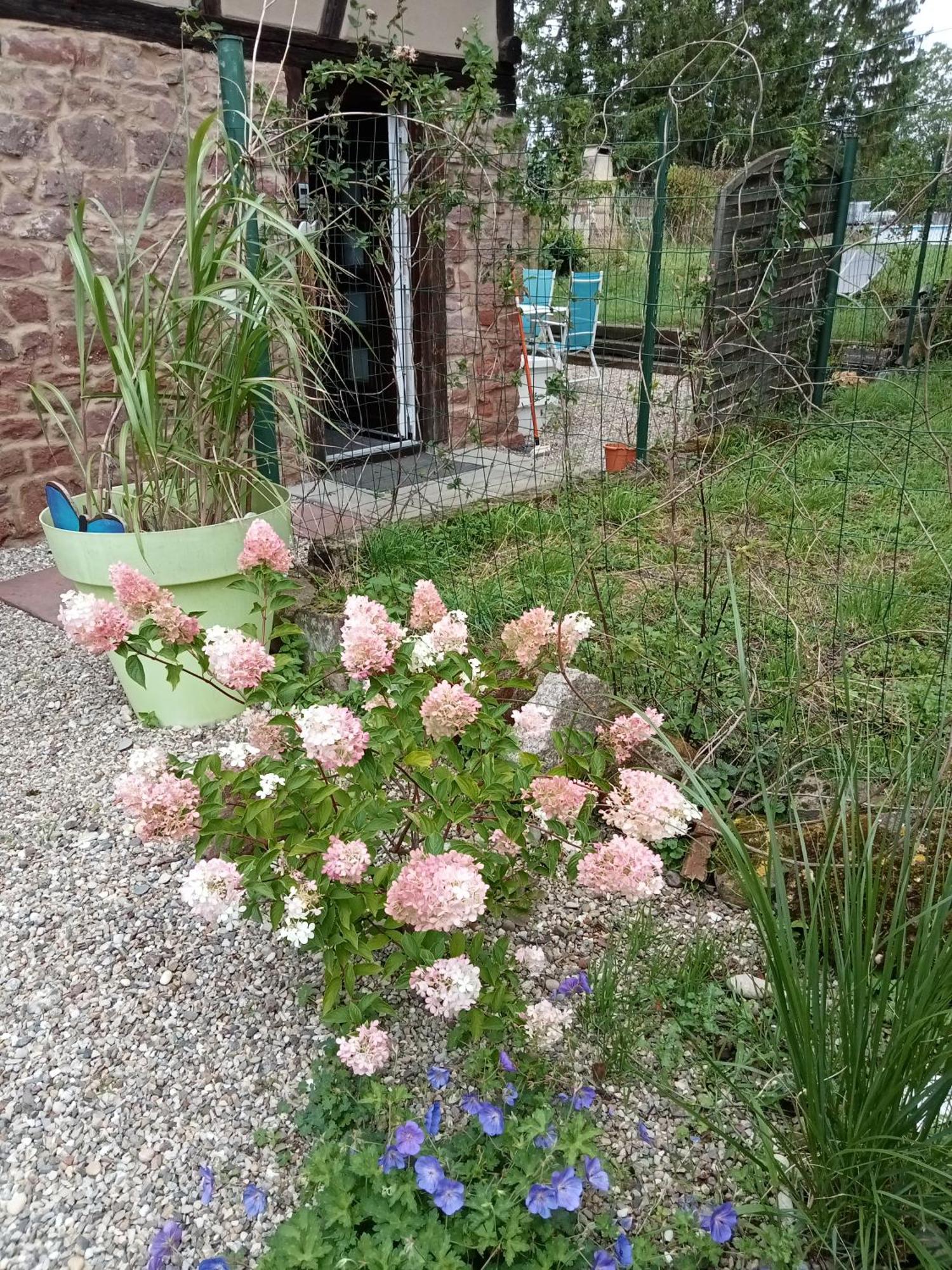 Marlibelle Valff Exterior foto